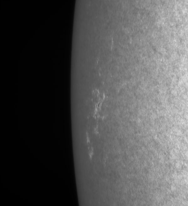 Plages at the edge of the solar disk  01.06.2021 - Astrophotography
