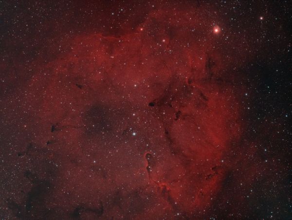 IC 1396 - Astrophotography