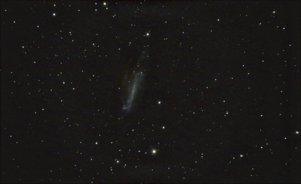 Galaxy NGC 4236 in Draco - Astrophotography