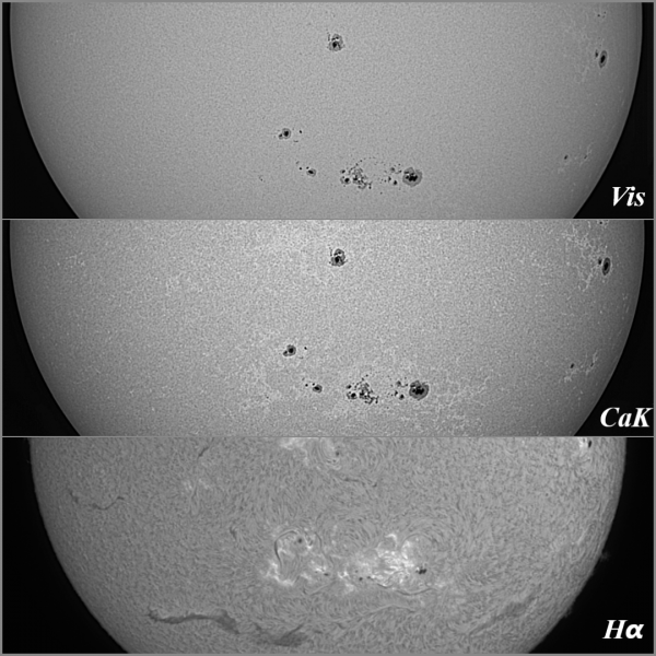 Solar activity 31.08.25 - Astrophotography