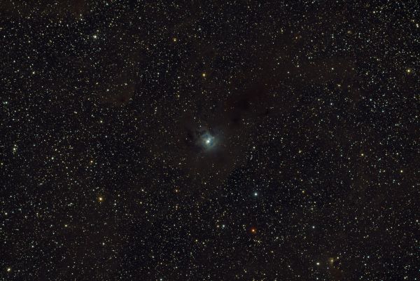 Iris NGC 7023 - Astrophotography
