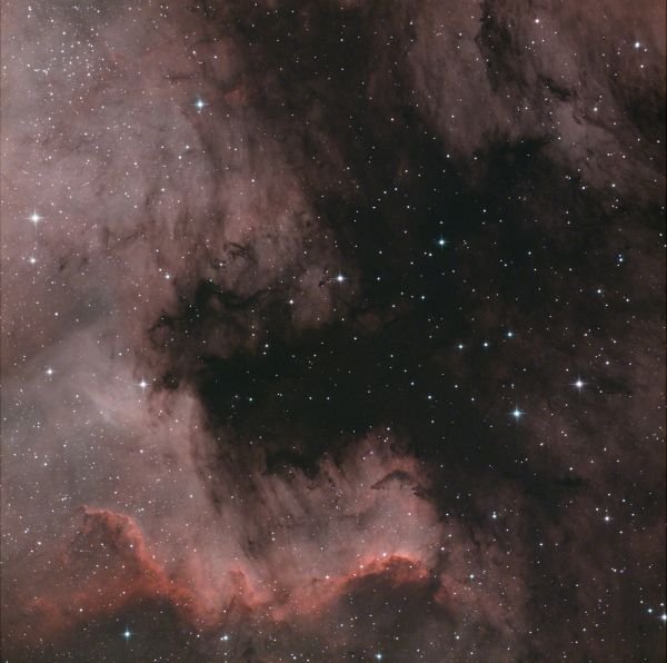 NGC 7000 - Astrophotography