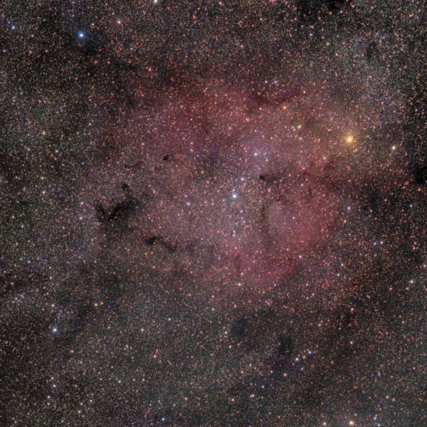 IC 1396, Elephant's Trunk - Astrophotography