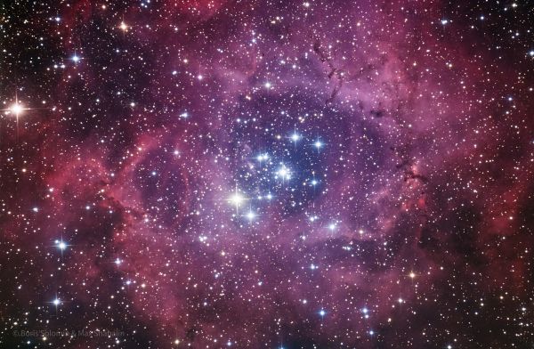 NGC 2237 Rosette - Astrophotography