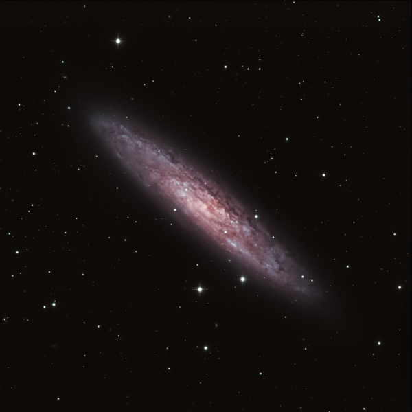 NGC 253 - Sculptor Galaxy (Silver Coin) - Astrophotography