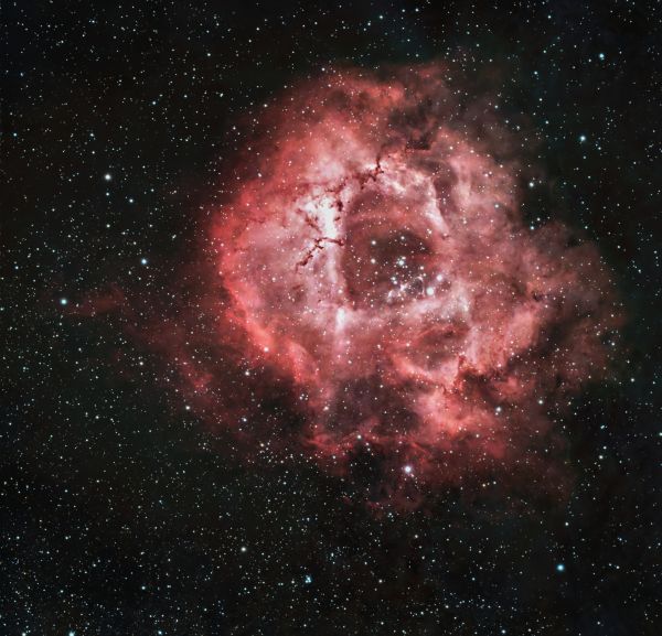 NGC 2244 Rosette nebula - Astrophotography