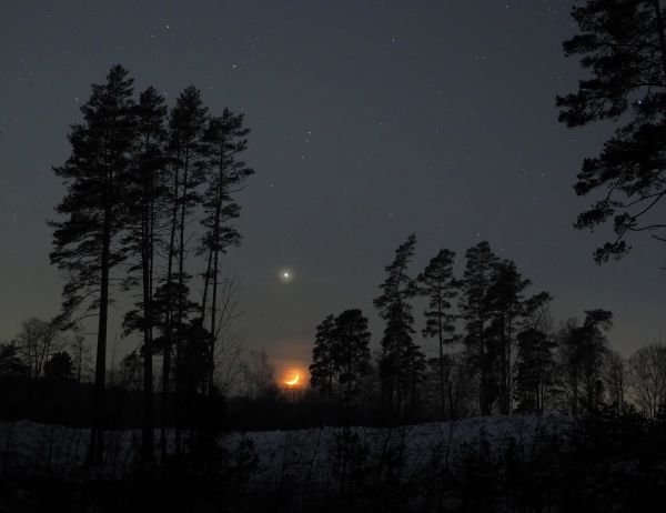 Moonset + Jupiter 02.2023 - Astrophotography