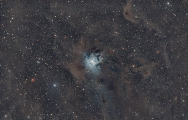 Iris Nebula (NGC7023) - Astrophotography