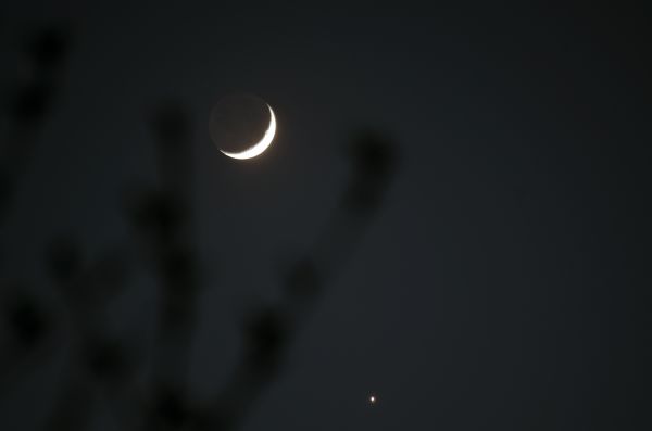 The Moon and Venus - Astrophotography