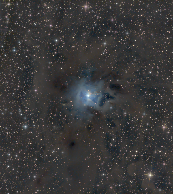 The Iris Nebula, NGC 7023 - Astrophotography