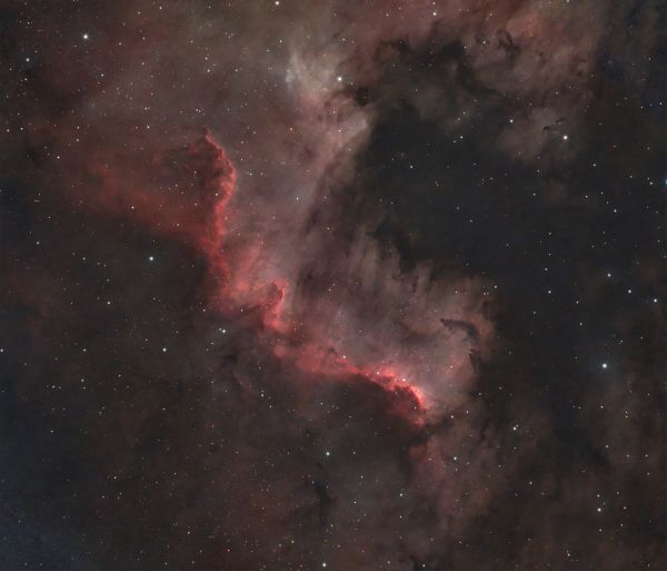ngc7000 - Astrophotography