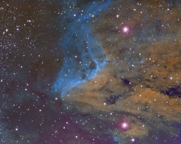 Pelican - Astrophotography