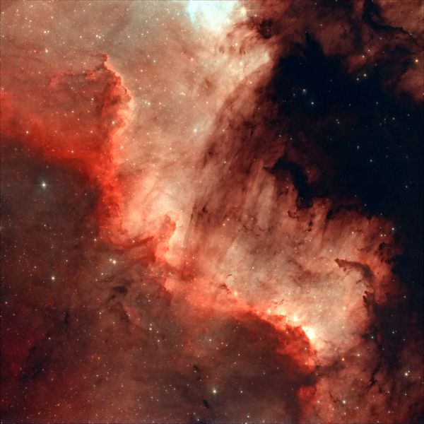 The Cygnus Wall - Astrophotography