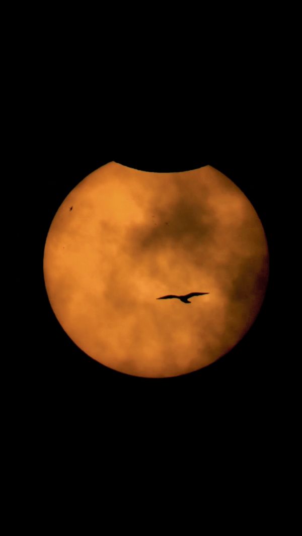 Partial solar eclipse 29.03.2025 - Astrophotography