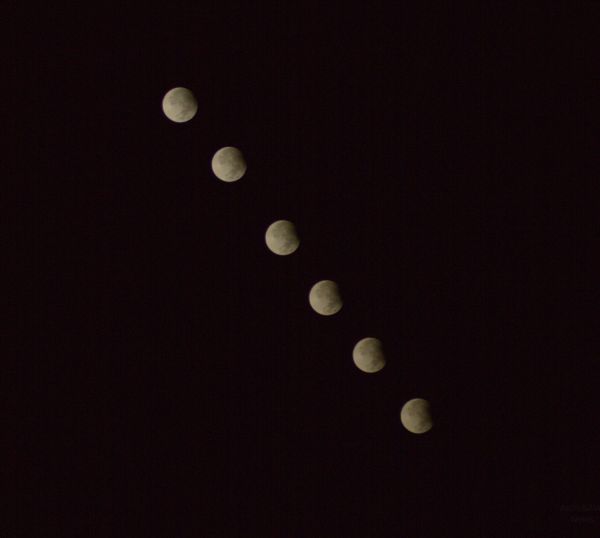 Moon Eclipse - Astrophotography