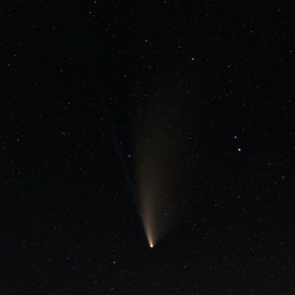 Neowise 2020-07-21 - Astrophotography