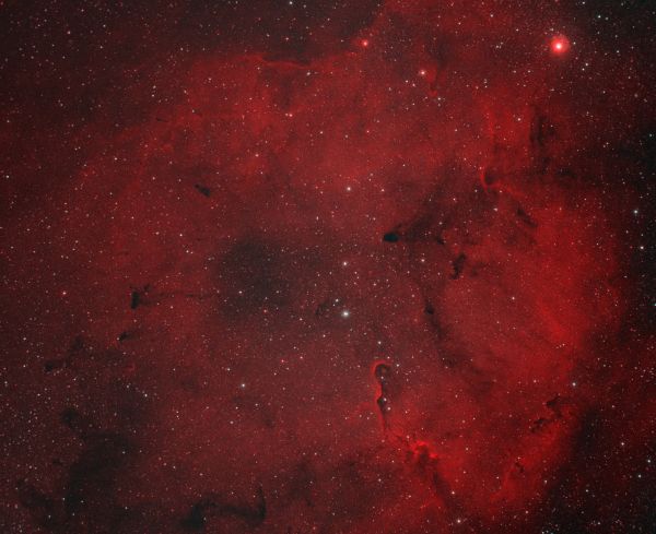IC 1396 - Astrophotography