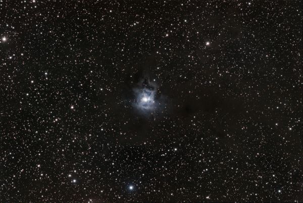 Iris Nebula NGC 7023 - Astrophotography
