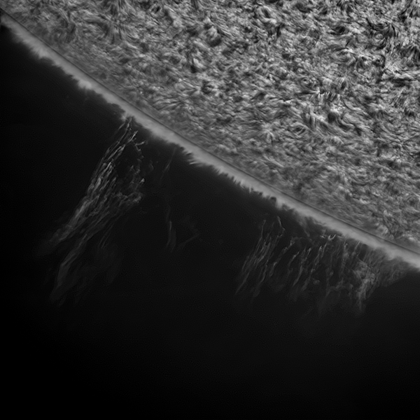 2019.08.24 Sun H-Alpha south prominence - Astrophotography