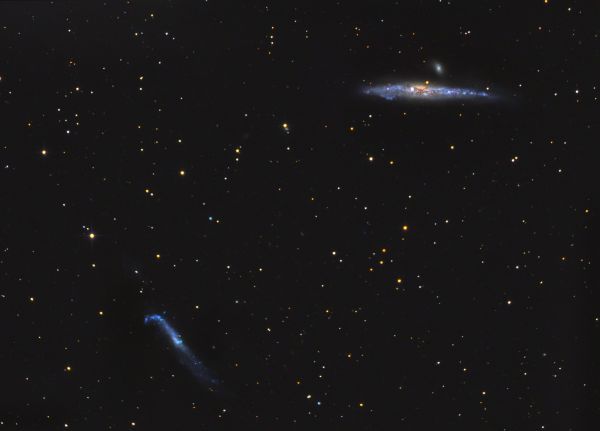 The Whale (NGC 4631) and the Hockey Stick (NGC 4656) galaxies. - Astrophotography