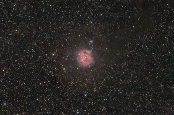 IC 5146 - The Cocoon Nebula - Astrophotography