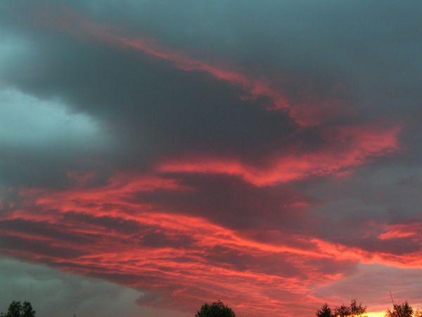 Zorro's Sign - Astrophotography