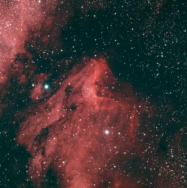 IC 5070 (Pelican Nebula) - Astrophotography