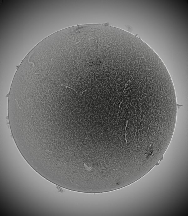 The Sun 07-04-23 invert - Astrophotography