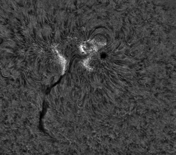 2020.06.08 Sun AR12765 H-Alpha - Astrophotography
