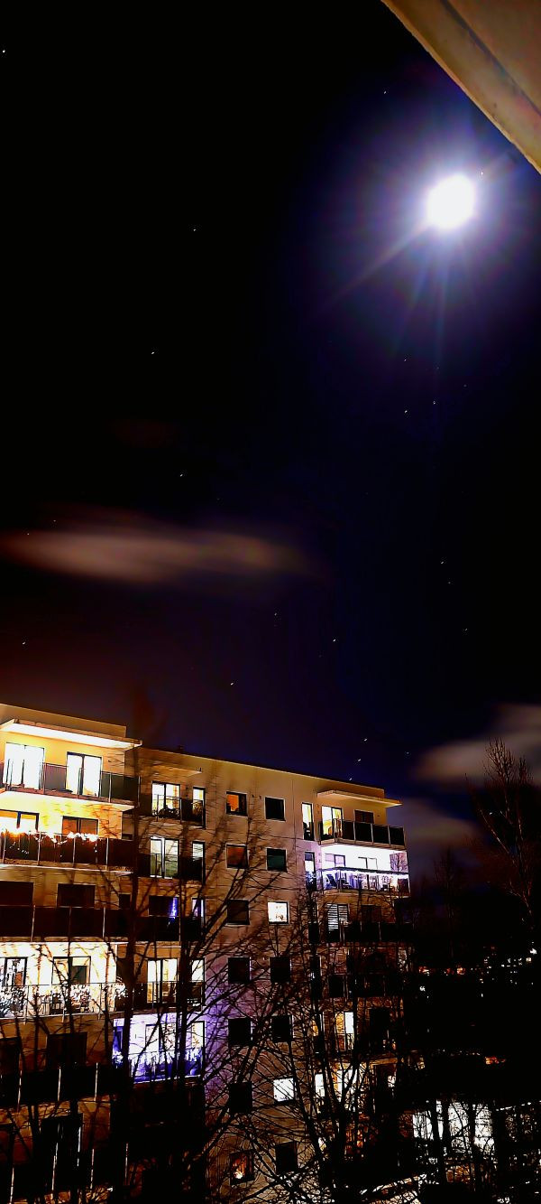 The bright winter sky - Astrophotography