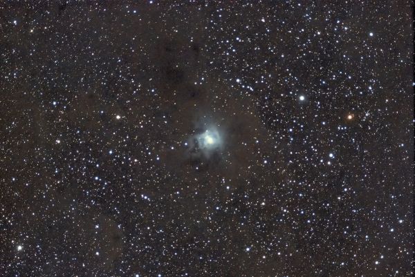 Nebulosa del iris (ngc 7023) - Astrophotography