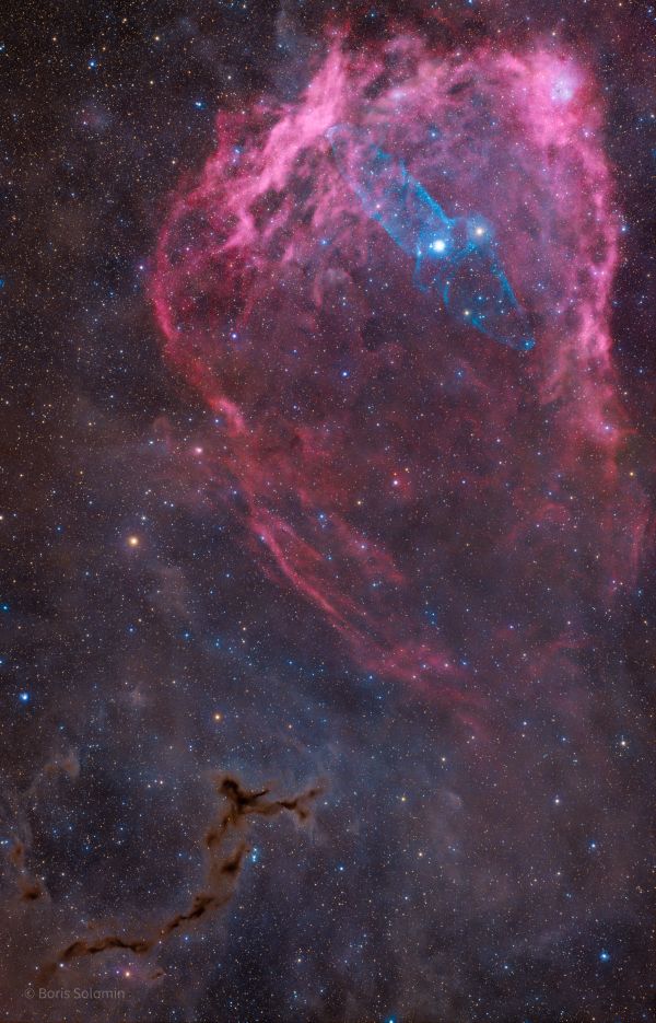 Squid, Bat and Sea Horse - Astrophotography