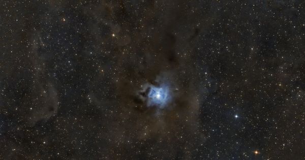 C4 Iris - Astrophotography