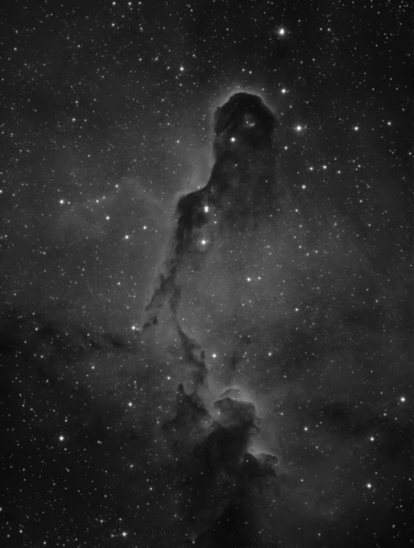 Collinder 439 (IC 1396 -The Elephant's Trunk Nebula) in Ha - Astrophotography