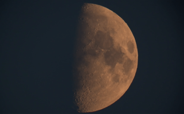 Bird flying in front of the 60% waxing Moon. 23.09.23. Gif - Astrophotography