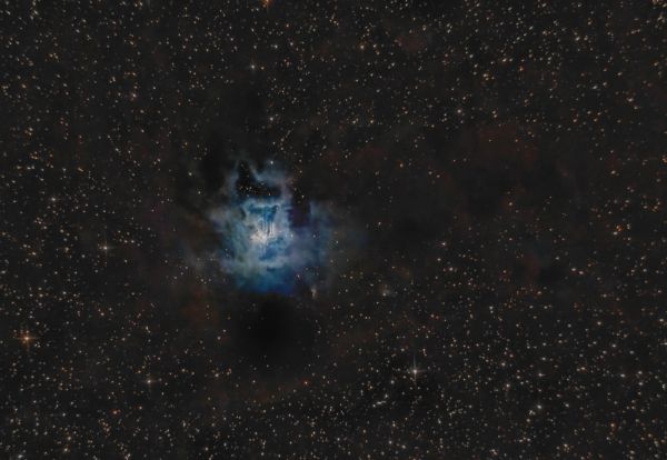 NGC 7023 - Iris nebula - Astrophotography