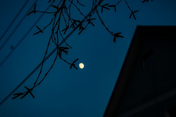 The Moon on December 8, 2019, in a new processing. - Astrophotography