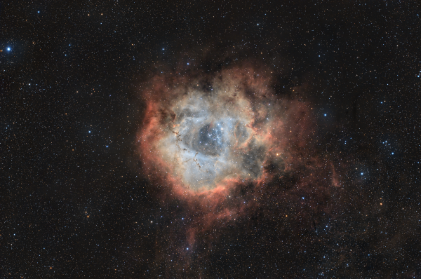 NGC 2237 - Rosette Nebula - Astrophotography