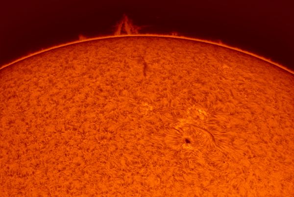 Active Region 3046, July 3, 2022 - Astrophotography