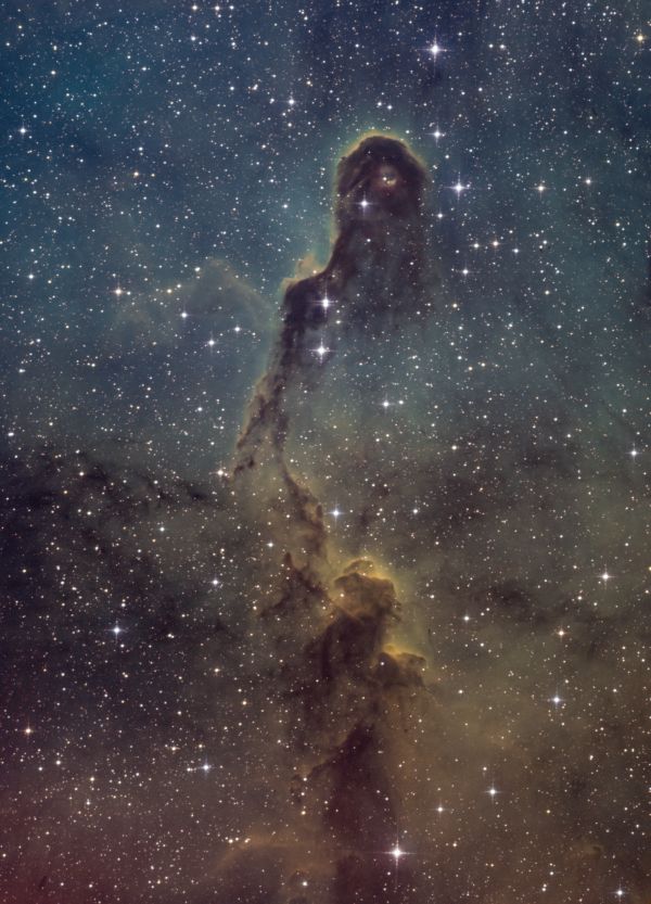 IC 1396, Elephant's Trunk nebula - Astrophotography