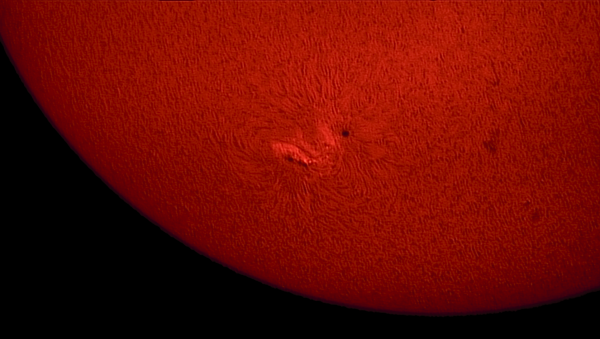 Sunspot group AR2781 in H-Alpha, November 6, 2020 - Astrophotography
