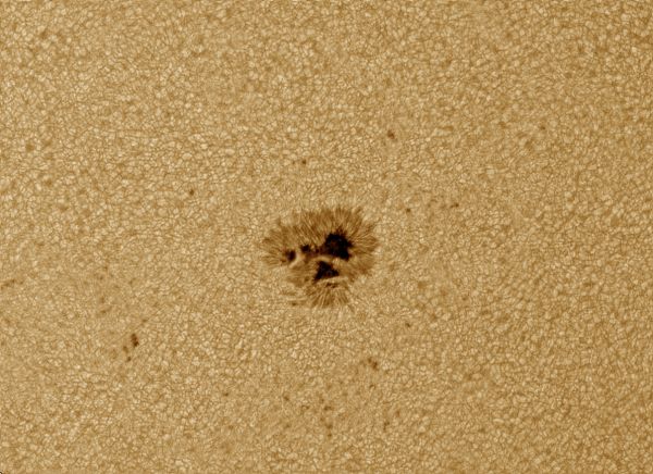 Sunspot 2121 - Astrophotography