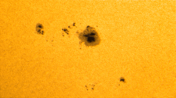 SUNSPOT GROUP NO. 2835 29.06.2021 - Astrophotography