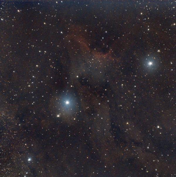 Pelican Nebula IC 5070 #1 - Astrophotography