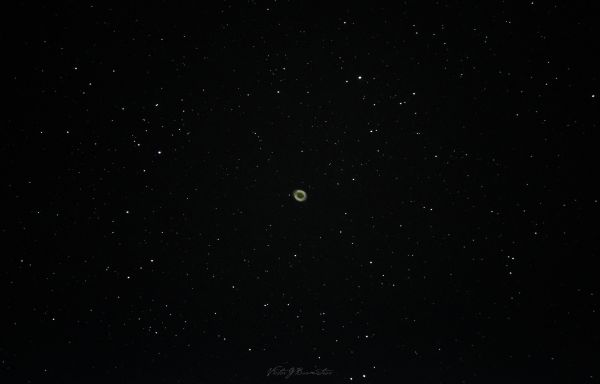 Ring Nebula - Astrophotography