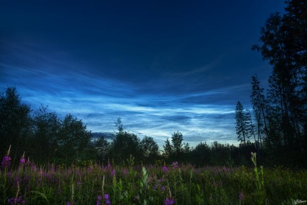 Noctilucent clouds - Astrophotography