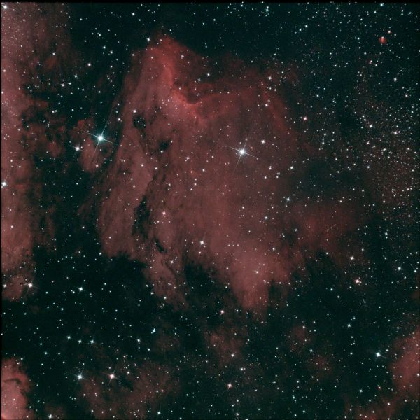 IC 5070 Pelican - Astrophotography