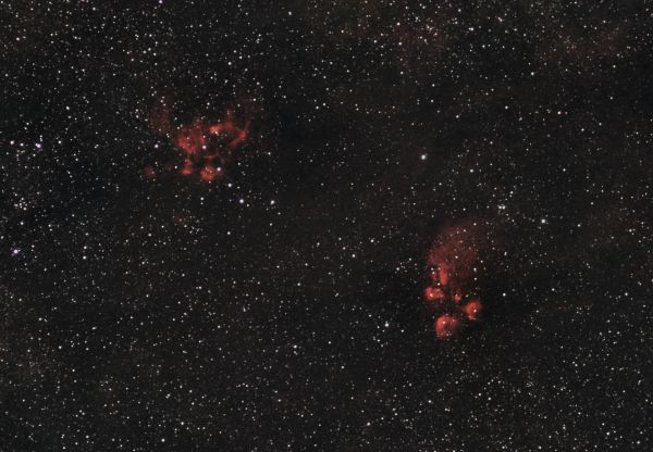 Lobster Nebula, Cat's Paw Nebula - Astrophotography