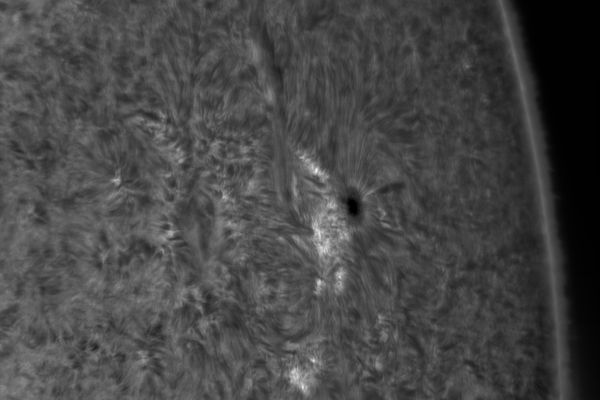 2020.10.24 Sun AR12776 H-Alpha - Astrophotography