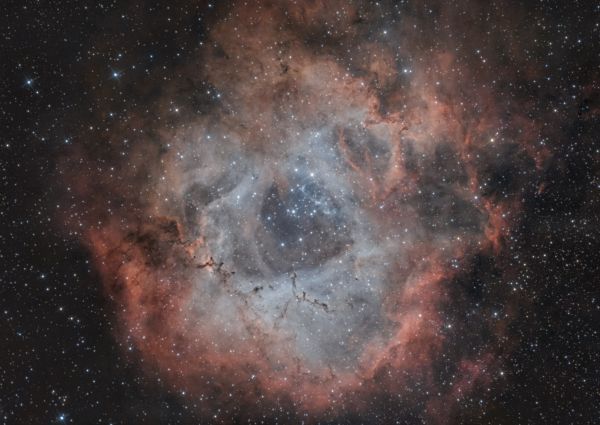 NGC2244 - Rosette - Astrophotography